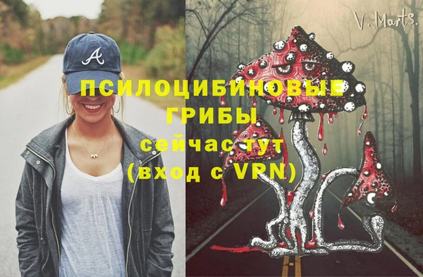 прущий лед Алексин